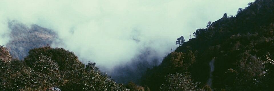 EricUlises22's profile banner image
