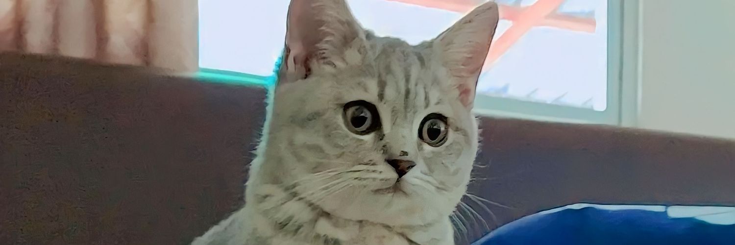 MtwPack's profile banner image