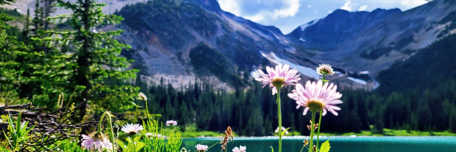 JCRΞW //'s banner