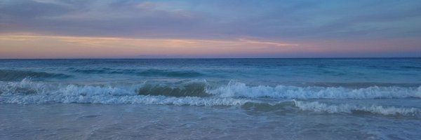 loofterhaus Profile Banner