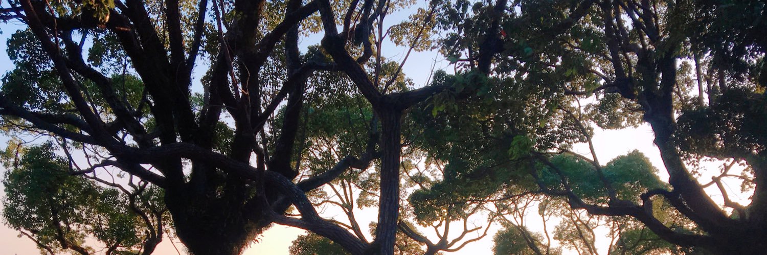 sunsetasan's profile banner image