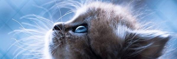 たっくんコード banner