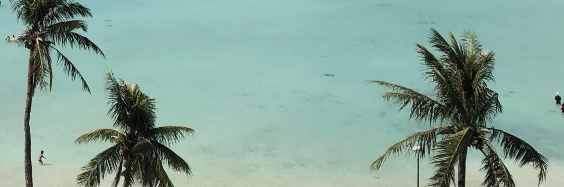 美鈴様 banner