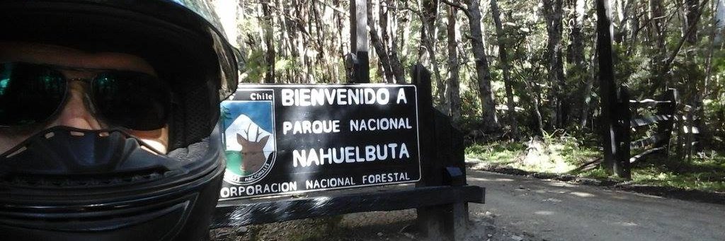 marquique's profile banner image