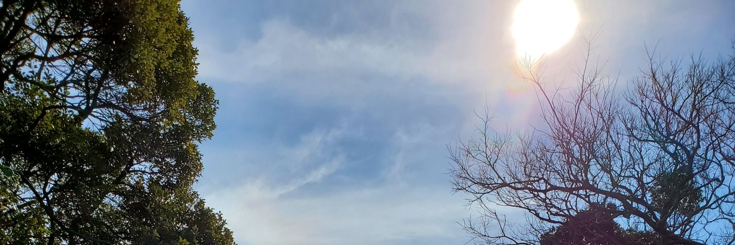 おせん's banner