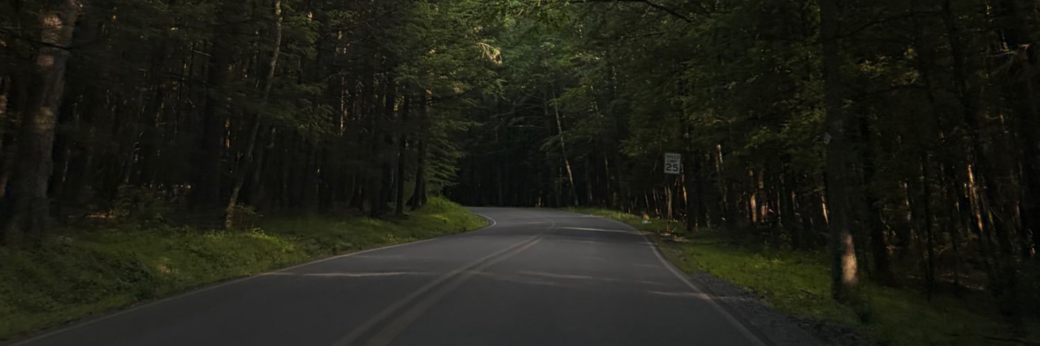 saxatonin's profile banner image