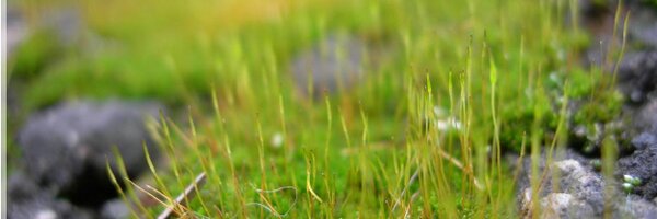 AliciaMstt Profile Banner