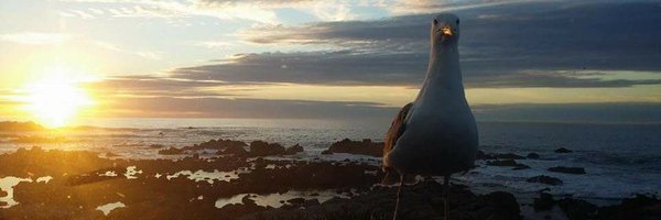 MsDbMe1 Profile Banner