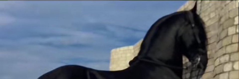 Chesila's profile banner image