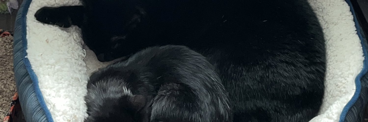 bebbygray's profile banner image