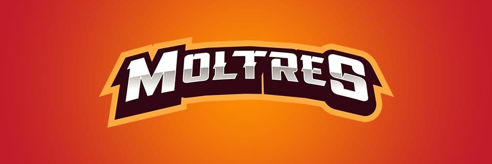 Moltres Basketball banner