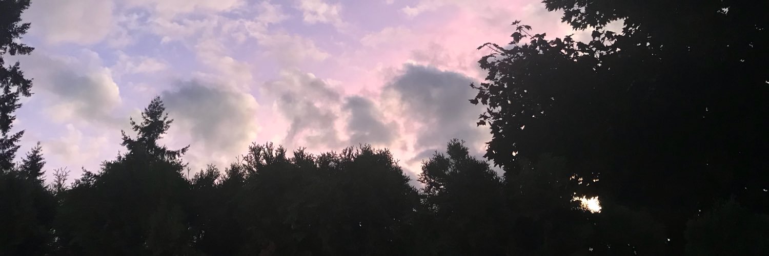 Twithis1's profile banner image