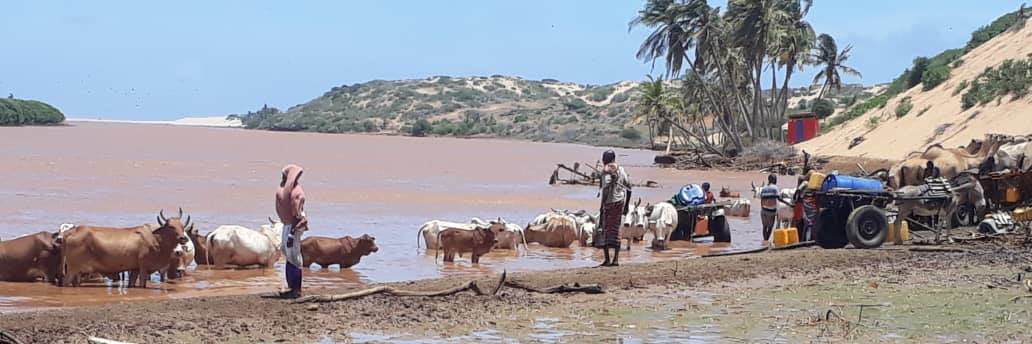 WASH Cluster Somalia banner