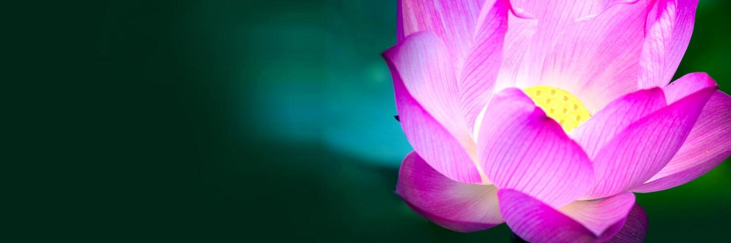 Me🧕🏻✊🇵🇸🔻 banner