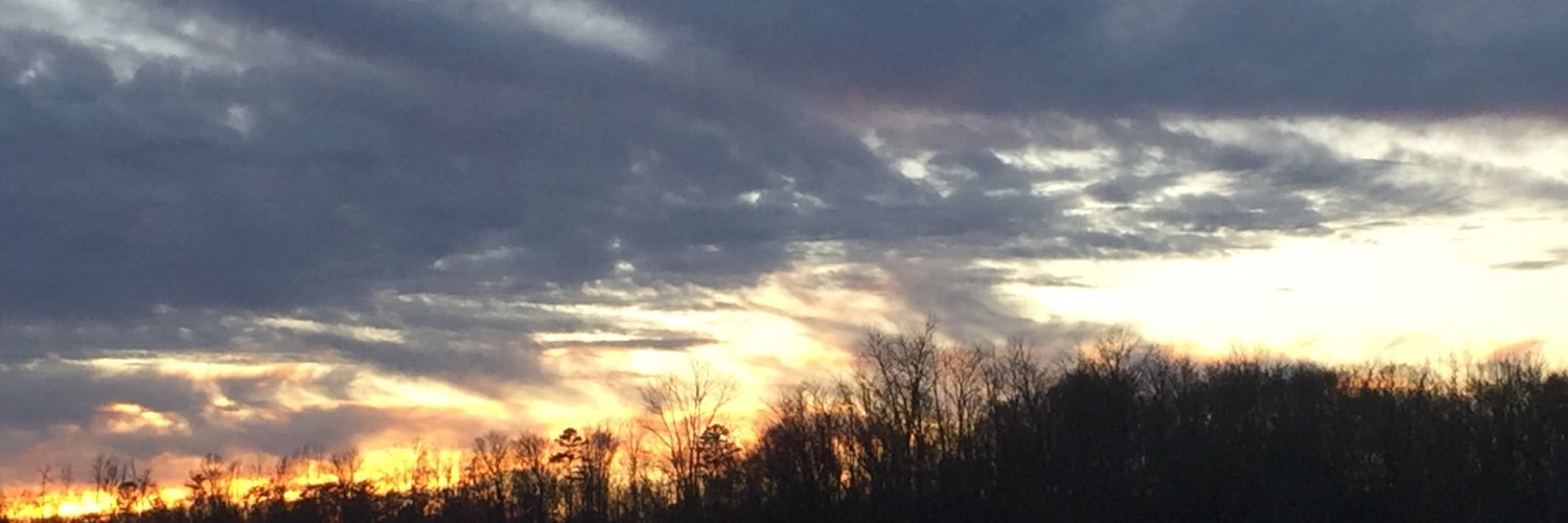 brodiskylar's profile banner image