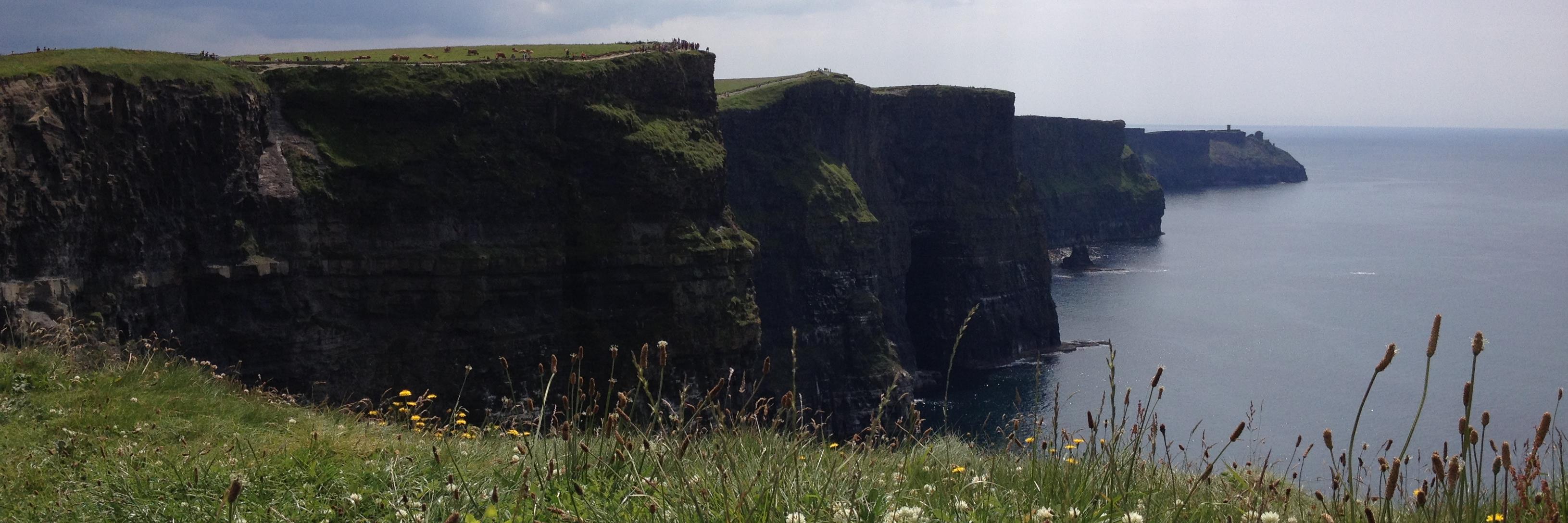 + Mark O'Connell banner