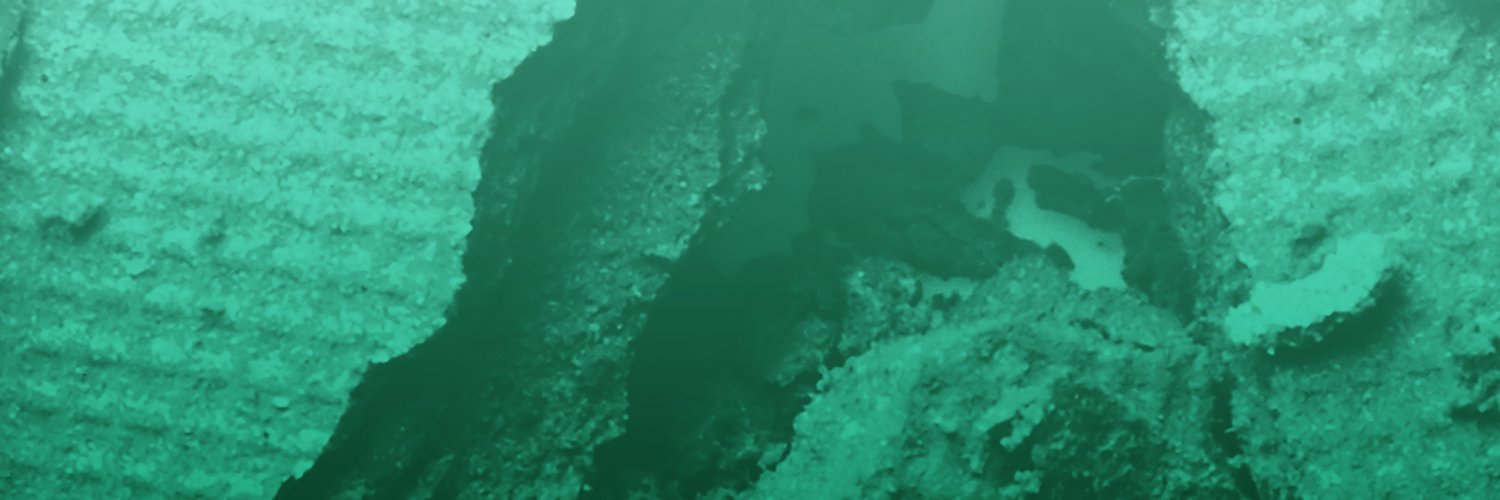 Cosmetics MDPI banner