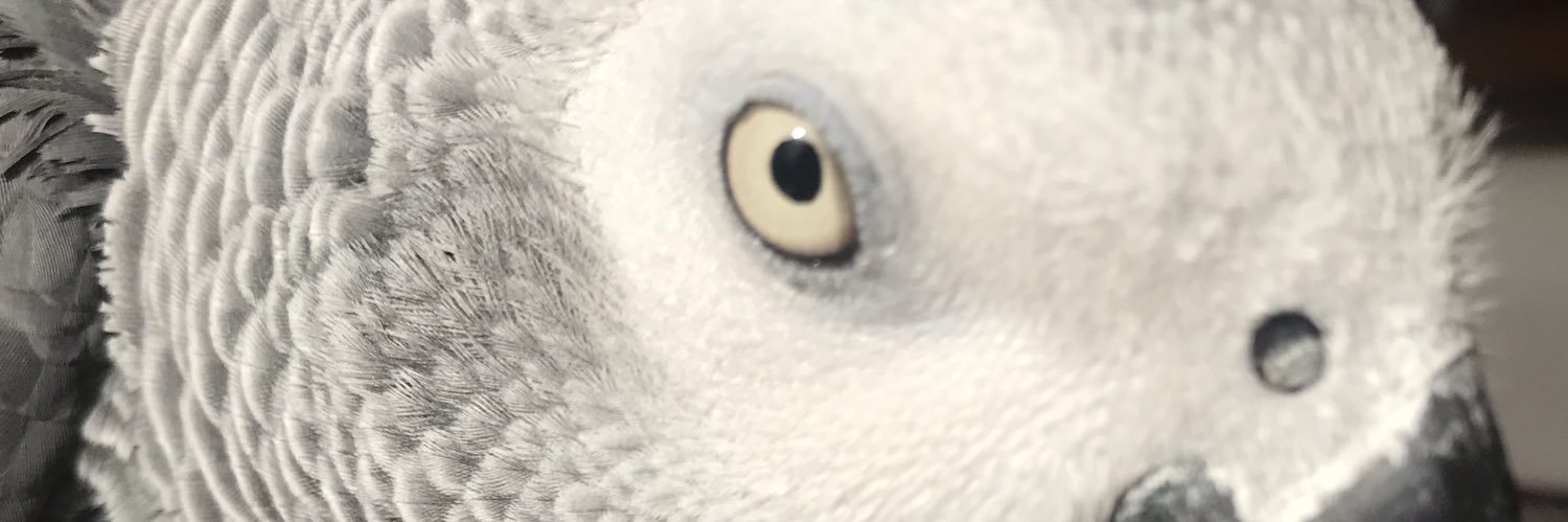 しをんそう banner