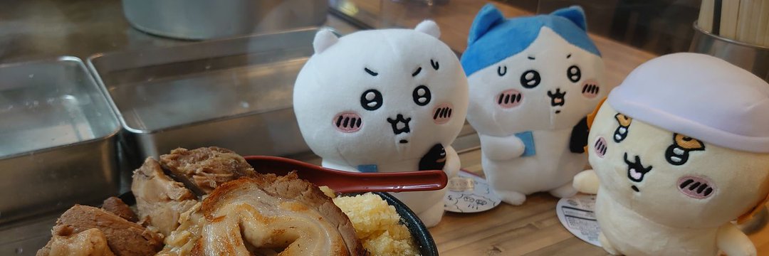 フィン(∩｡•ｏ•｡)っ banner