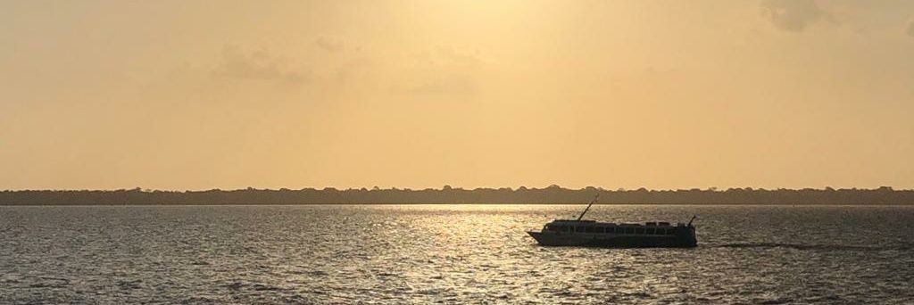 zguara's profile banner image