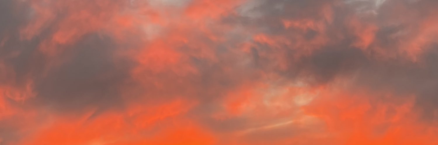StxphMichelle's profile banner image