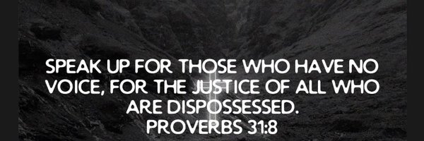 gzmimi Profile Banner