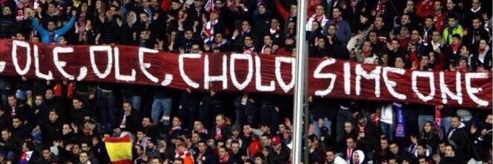 Dani banner