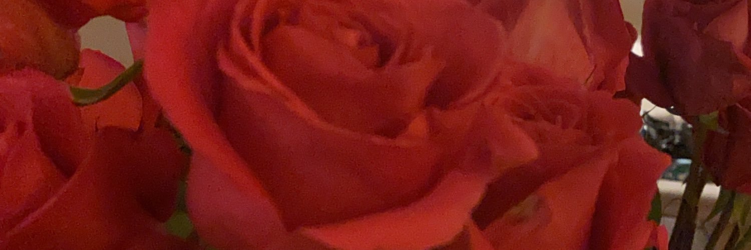 Brave_Bibi's profile banner image