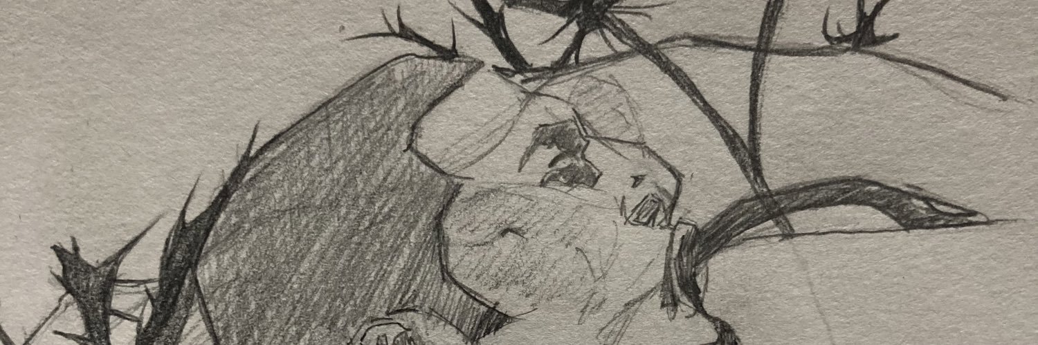 SkarmxL's profile banner image