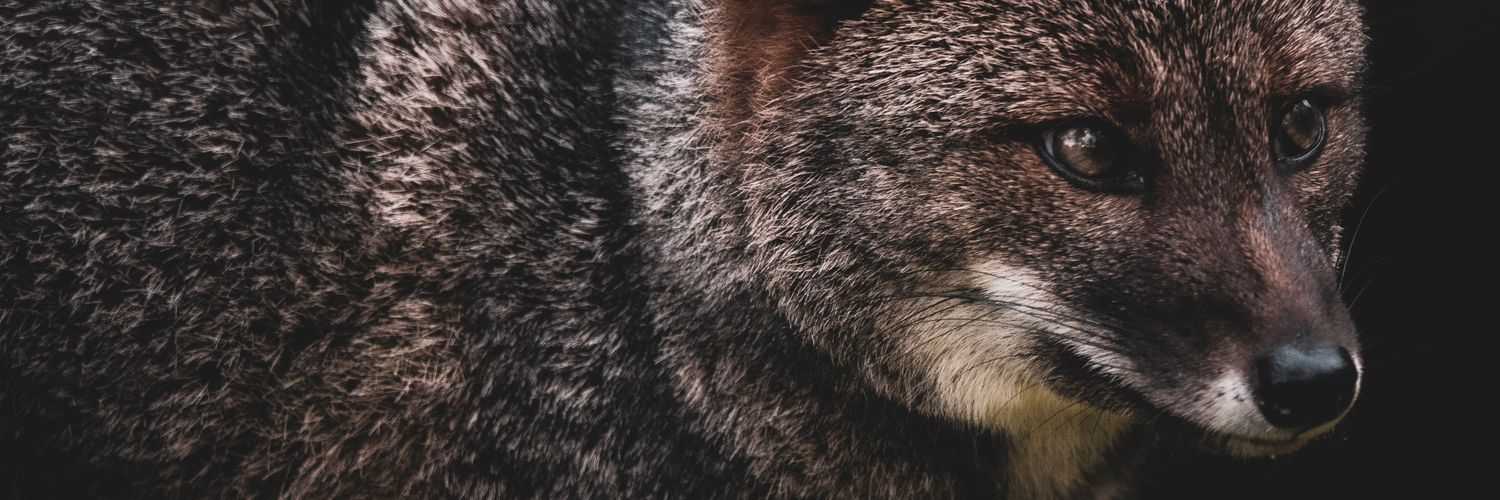 psmaass's profile banner image