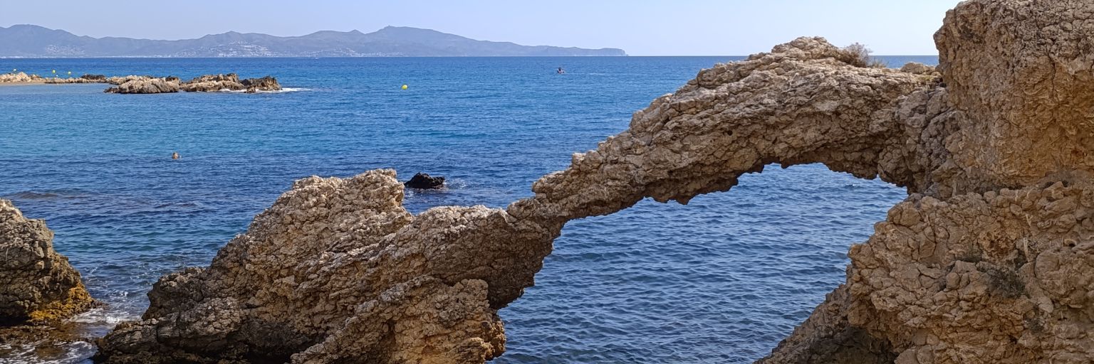 RosaQuoni's profile banner image