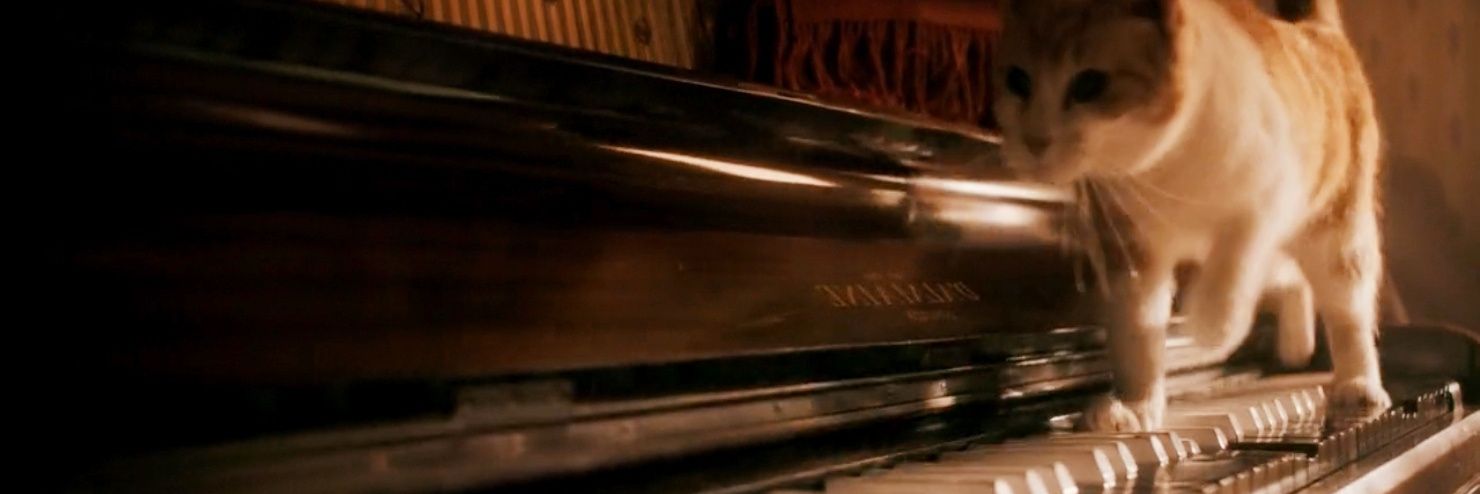 Me Puse Weon. banner