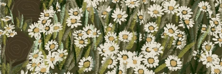 mitasharfina's profile banner image