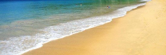 Roisin.Philippe (she/her) banner