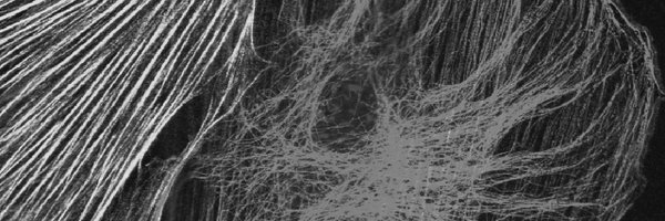 eurmicsoc Profile Banner