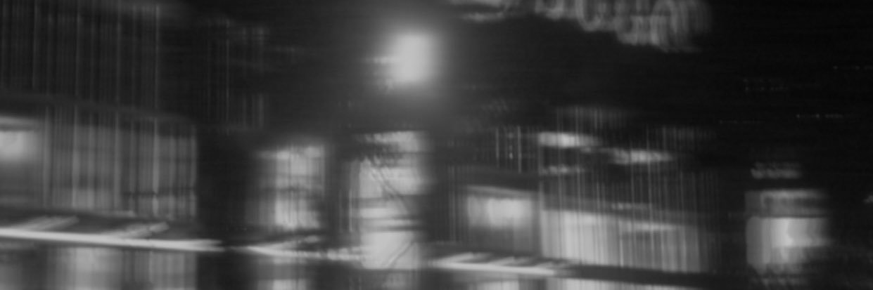 adnaulia's profile banner image