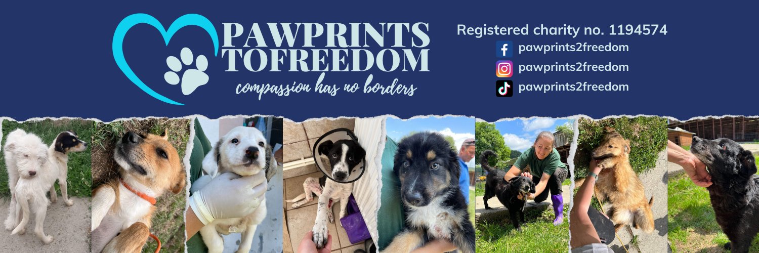 Pawprints to Freedom Rescue🐾's banner