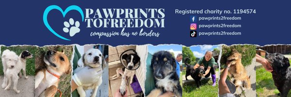 Pawprints2F Profile Banner