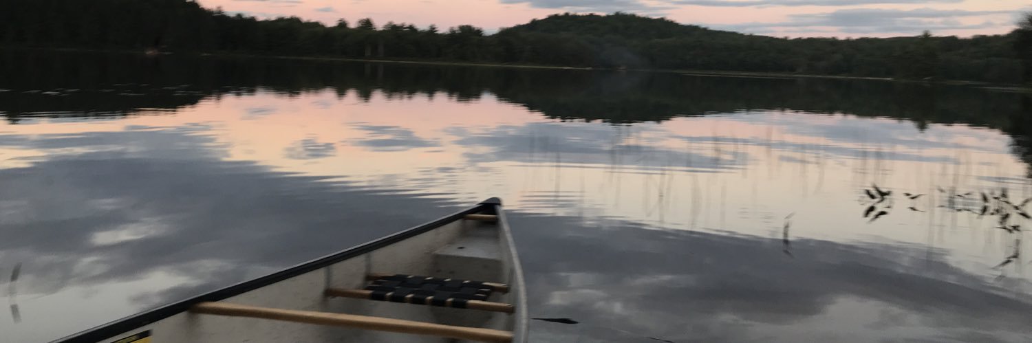 BillyJoeCarey's profile banner image