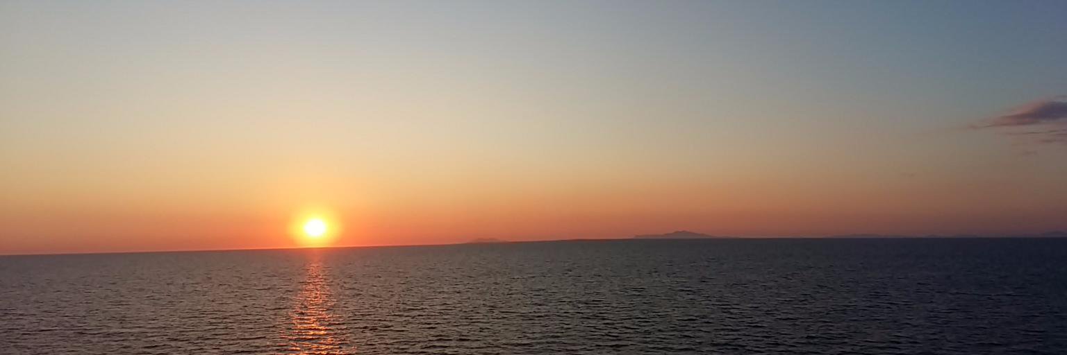 Tiphainedu21's profile banner image
