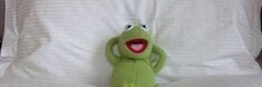 Lolito Jr banner
