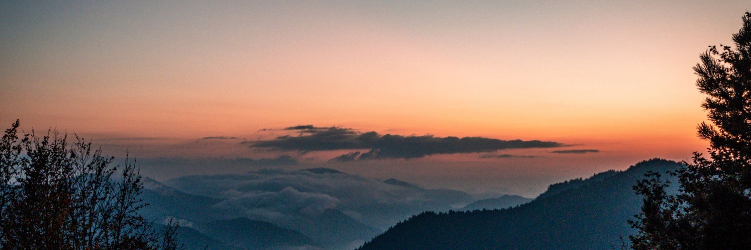 gulsenylm's profile banner image