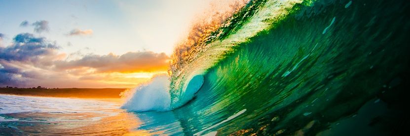 Angeles Parra banner