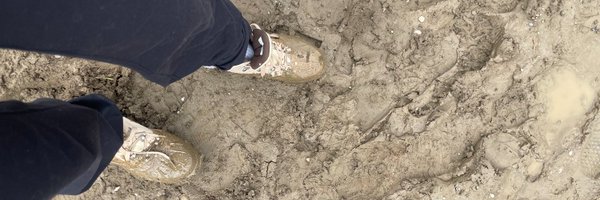 aaurorashields Profile Banner