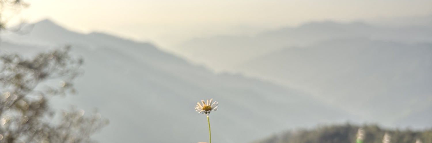 Anuj Khandalikar banner