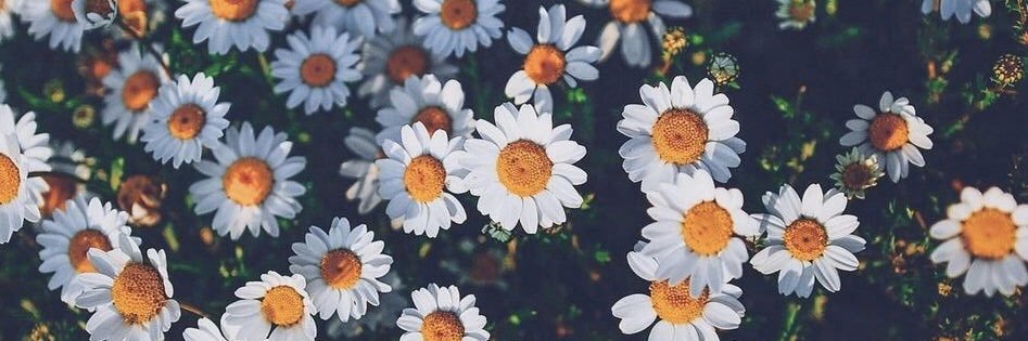 AlexiaChavarin1's profile banner image