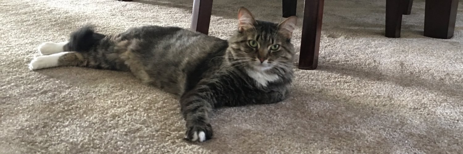 ALFRED ROBLES banner