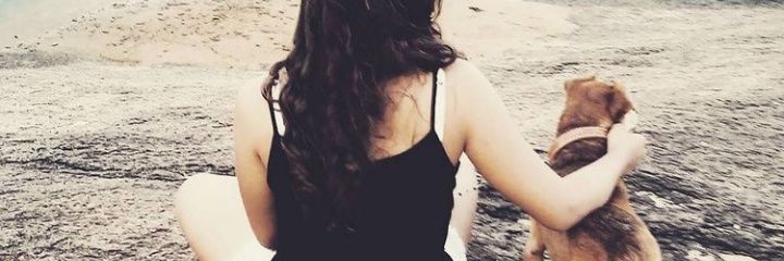 nossileb's profile banner image