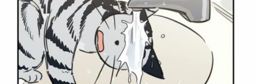 chokohaneut's profile banner image