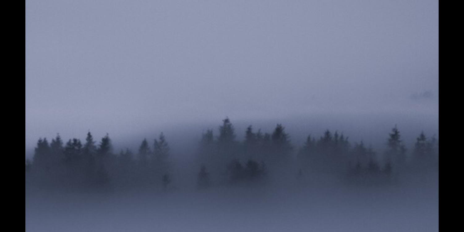 HaleyHopp1's profile banner image